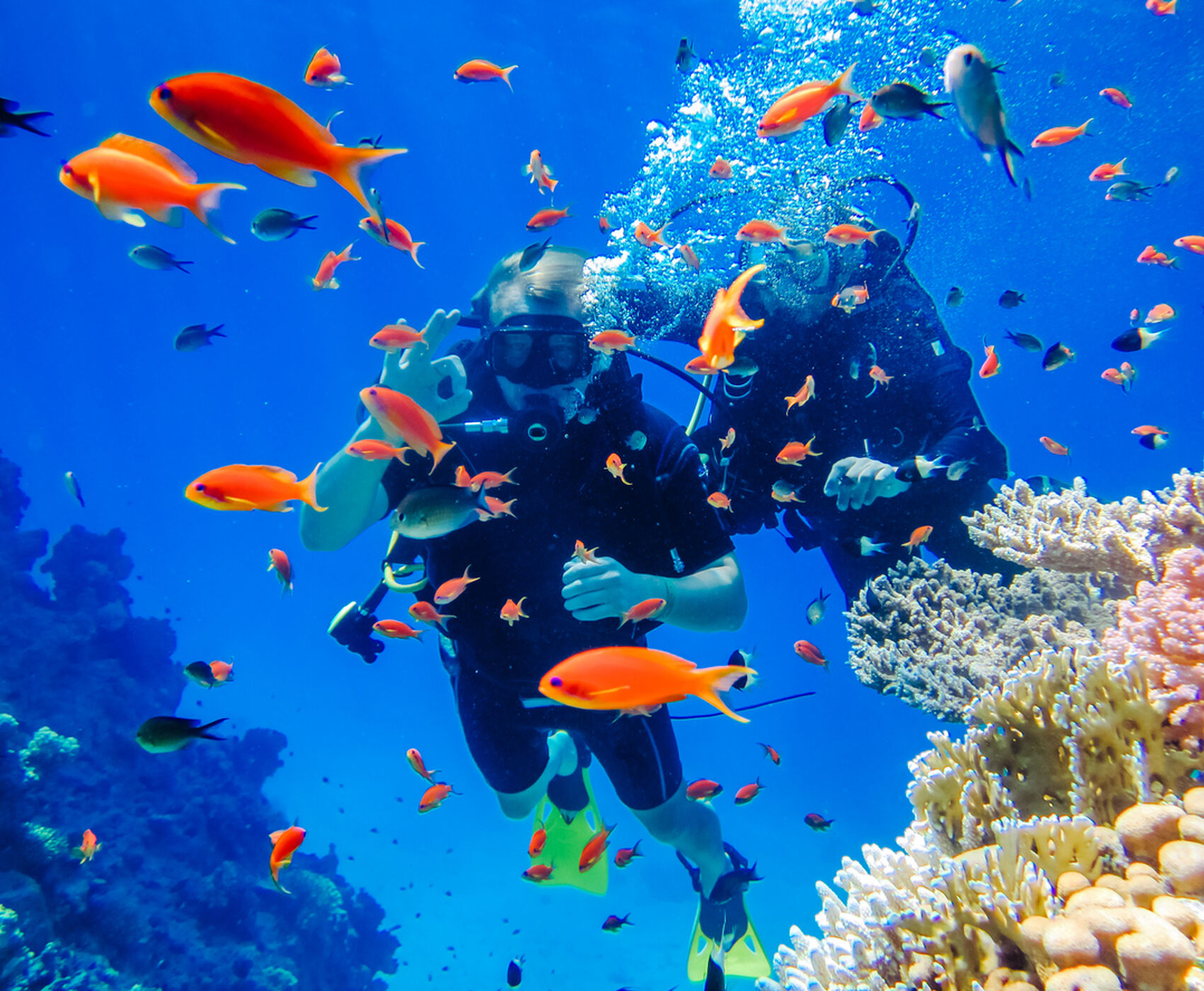 Antalya Dan Direkt Uçaklı Mısır - Kahire & İskenderiye & Sharm El Sheikh Kızıldenizdeki Cennet Akvaryum!!!!!!