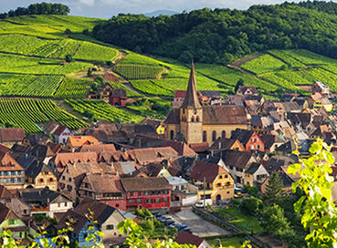Elit Alsace Ve Colmar Turu Thy İle 3 Gece - Ekstra Turlar Dahil 29 Ekim Dönemi