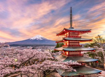 Sakura Ozel Grand Japonya Kore Turu Thy